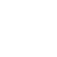 HTML icon