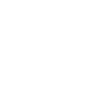 Web Developement icon