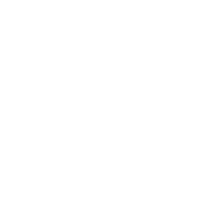 Javascript icon